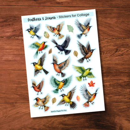 Pages for You®: Feathers & Leaves – Stickers for Collage